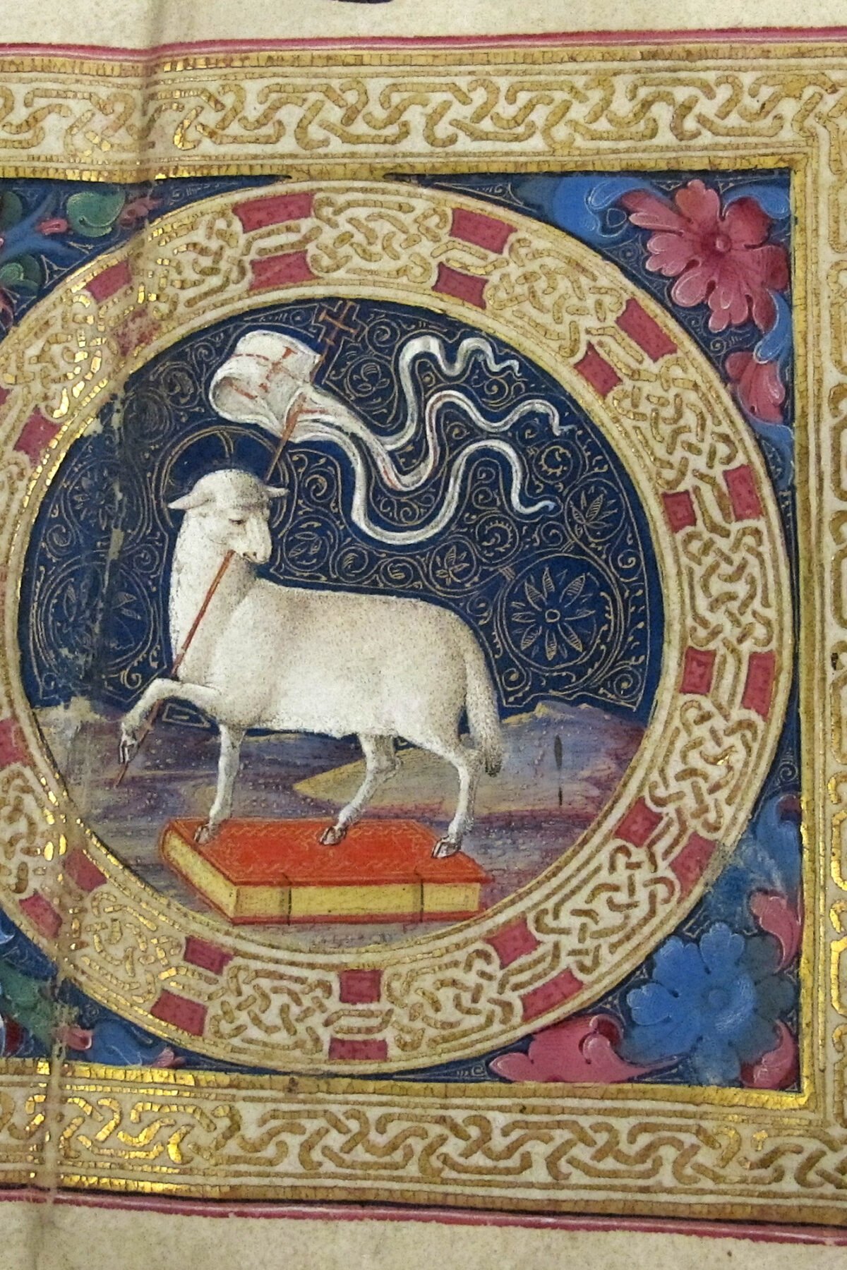 Jésus, l&rsquo;Agneau de Dieu – 2ème dimanche A